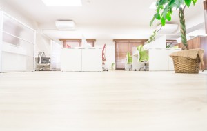 https---www.pakutaso.com-assets_c-2015-04-CSS_froringcsss1292-thumb-1000xauto-12523