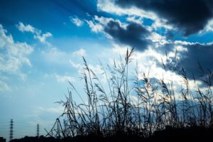 -shared-img-thumb-PAK79_aozoratokasenjiki20501230055640_TP_V