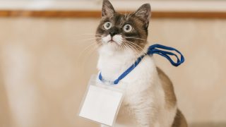 起業で【聞いてはいけない】アドバイスと【絶対聞くべき】アドバイス-金融機関をうまく使いましょう!