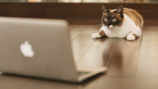 中小企業のホームページは自作すべき?~若手税理士の【WordPressサイトリニューアル】体験記